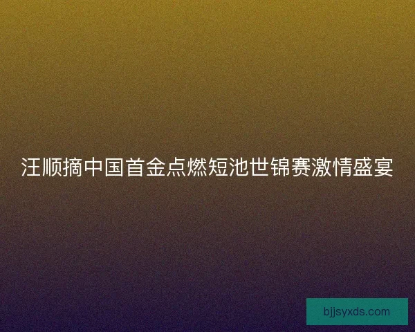 汪顺摘中国首金点燃短池世锦赛激情盛宴