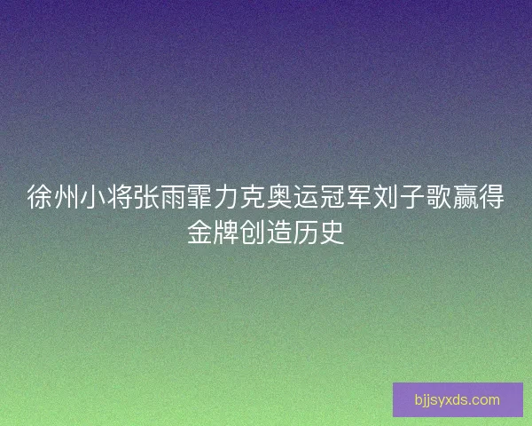 徐州小将张雨霏力克奥运冠军刘子歌赢得金牌创造历史